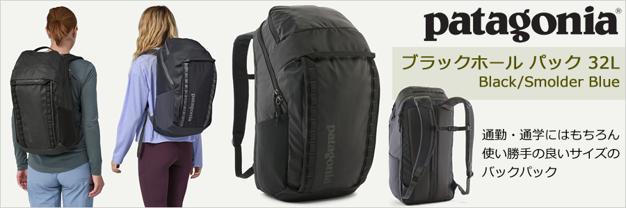 websports スノーボードバッグ 黒　175 キャスター付き 人気ブランドを websports キャスター付き（楽天市場 175 黒