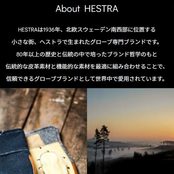 ヘストラ スキーグローブ ゴアテックス OMNI GTX FULL LEATHER / GREY NATURAL  BROWN（31910-350700） (24-25 2025) hestra【C1】 |  スキー通販WEBSPORTSスキー板・ブーツ・ウェアを正規モデルを最速でお届け！