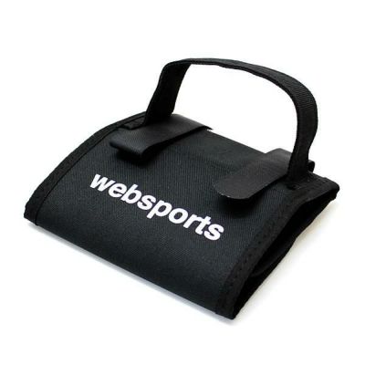 Websports オリジナル スキーキャリー CARRY ALPIN スキー＆ストック1組装着可能 53829  スキーケース 【C1】