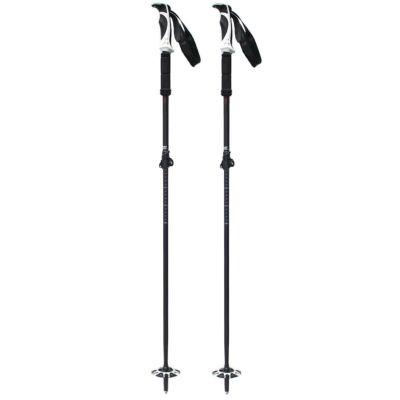 Websports オリジナル スキーポール パウダー TL ブラック×ブラック OSW05 2段伸縮式 95～125cm ウェブスポ＆キザキ コラボデザイン キザキ スキーポール ストック