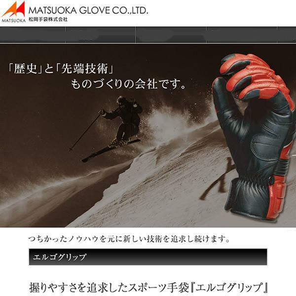 ローラースキー（クロスカントリースキー トーレーニング用）＋