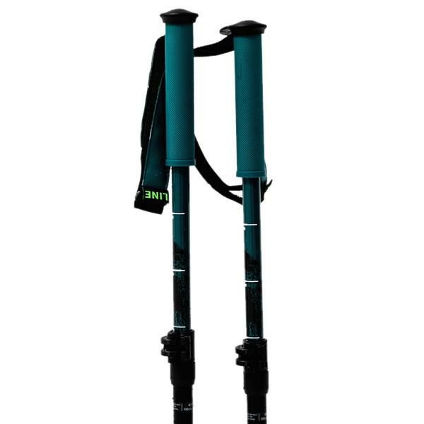 ライン スキーポール 2024 PAINTBRUSH Black-Green 100～130cm 伸縮式 A2302002010 ペイントブラッシュ  LINE Skis スキーストック (23-24 2024) 日本正規品