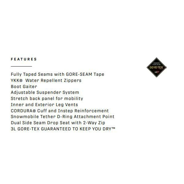 24-25モデル ARMADA アルマダ スキーウェア ゴアテックス COVETED 3L