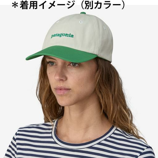 SOLDOUT】Patagonia パタゴニア フィッツロイ アイコン トラッド