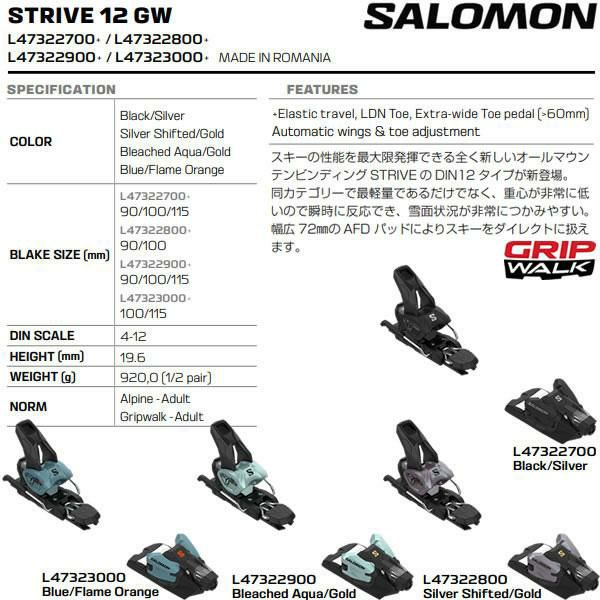Salomon Stance 90 Skis | Christy Sports