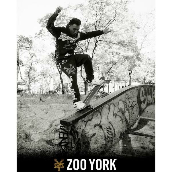 スケボー デッキ zooyork デッキ 単品 BIG CITY FLARE 8.0 x 32インチ