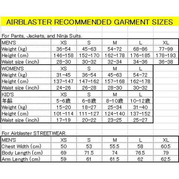 エアブラスター ウェア メンズ 25-26 TEAM VEST 綿入りベスト (2025