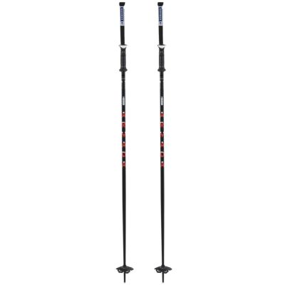 【新品未使用】 ARMADA アルマダ ストック　ポール 110 ARMADA】アルマダ スキーストック 110cm ポール - メルカリ